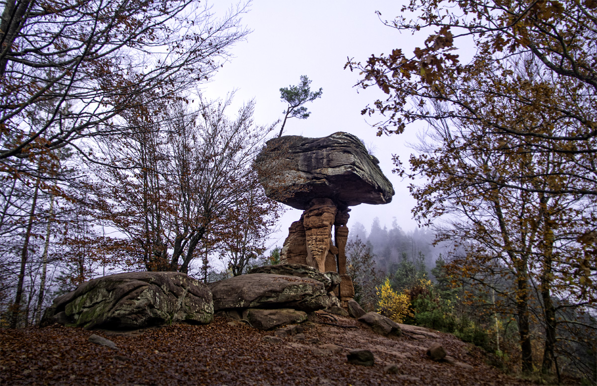 Bald ist Herbst!