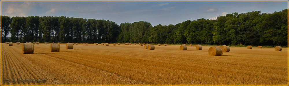 bald ist Herbst