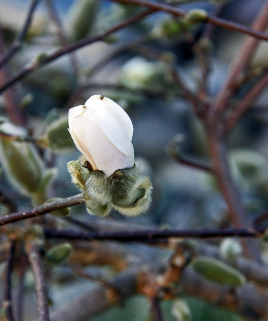 ...bald ist Ostern 2