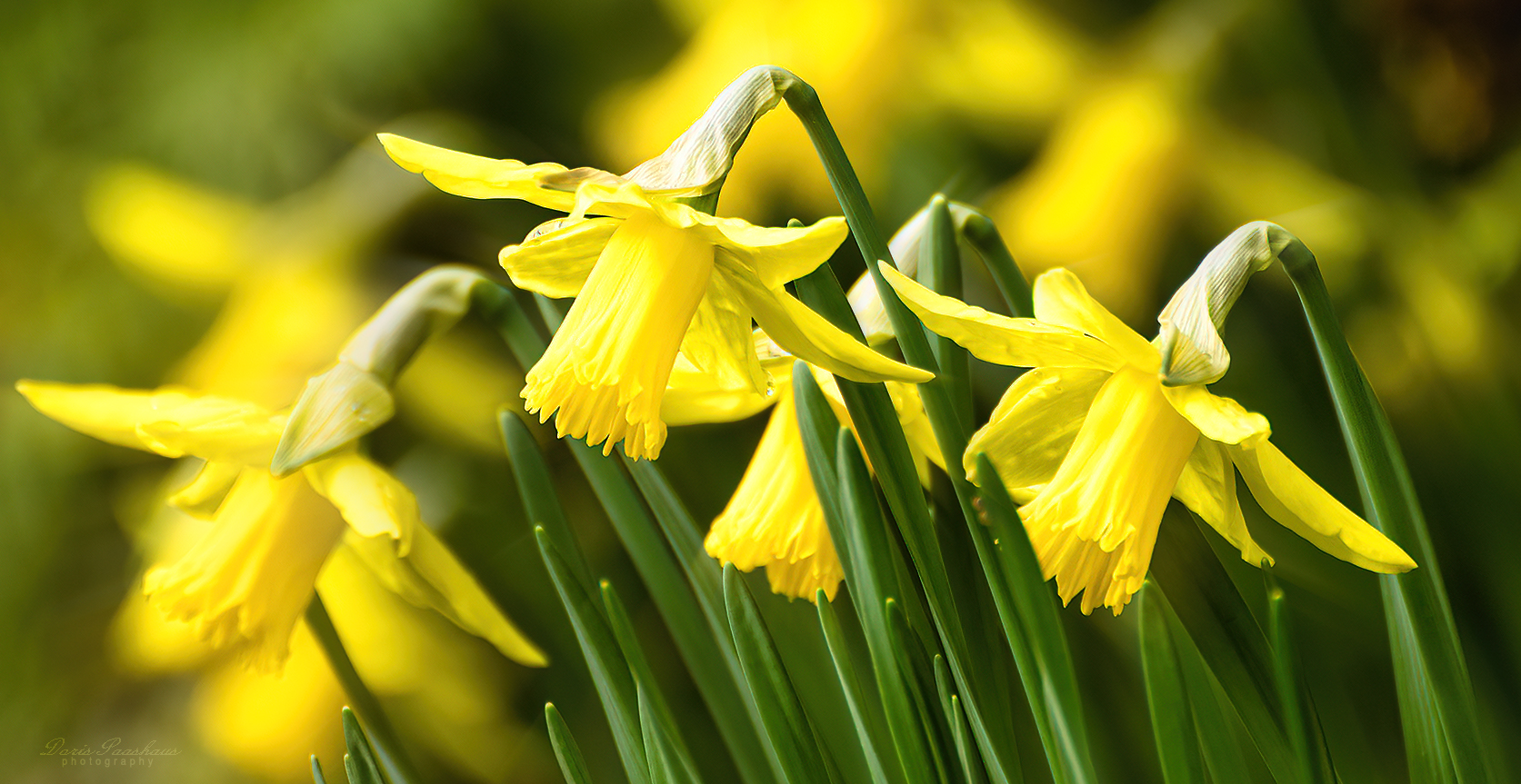 Bald ist Ostern