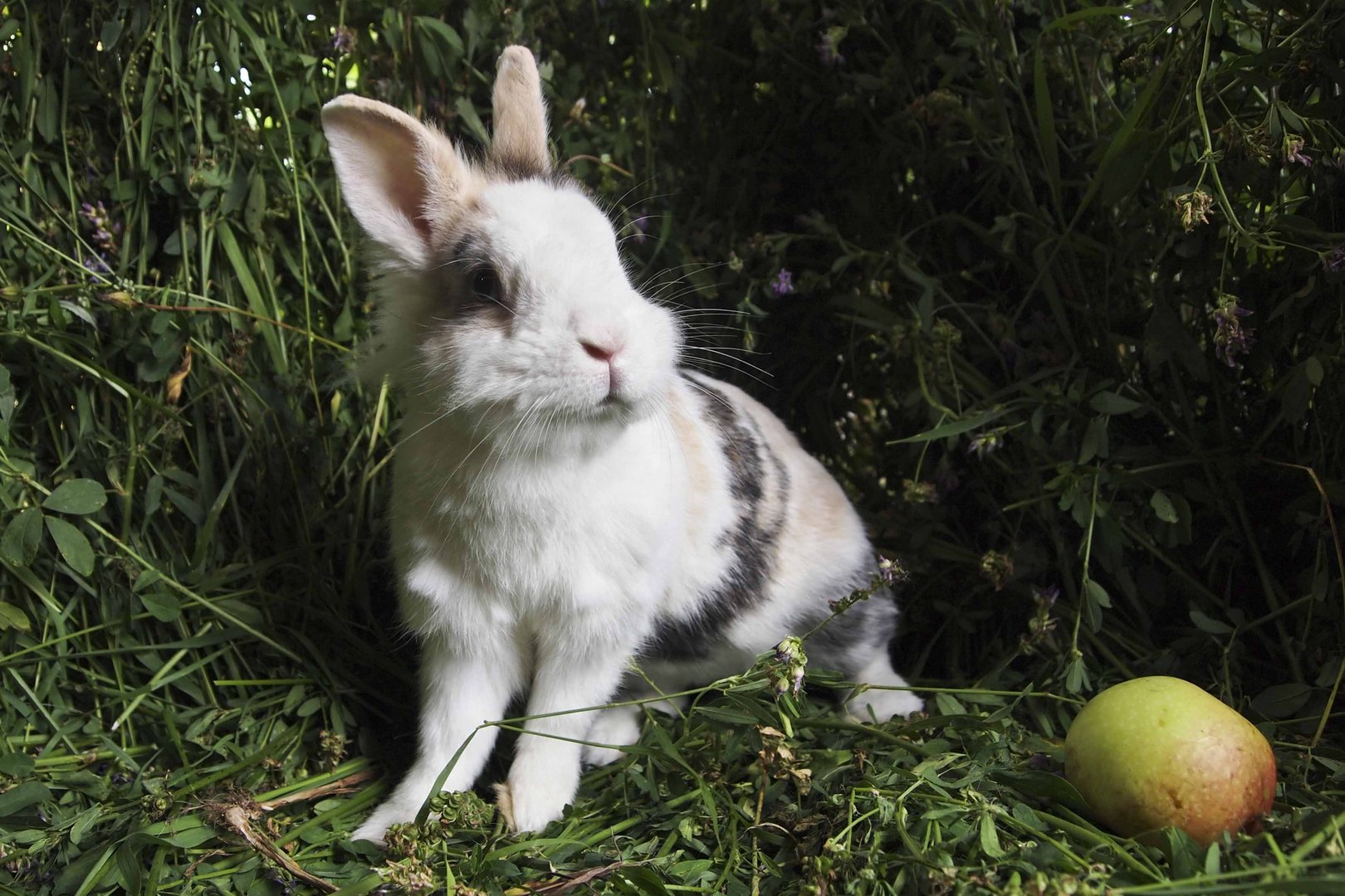 bald ist ostern