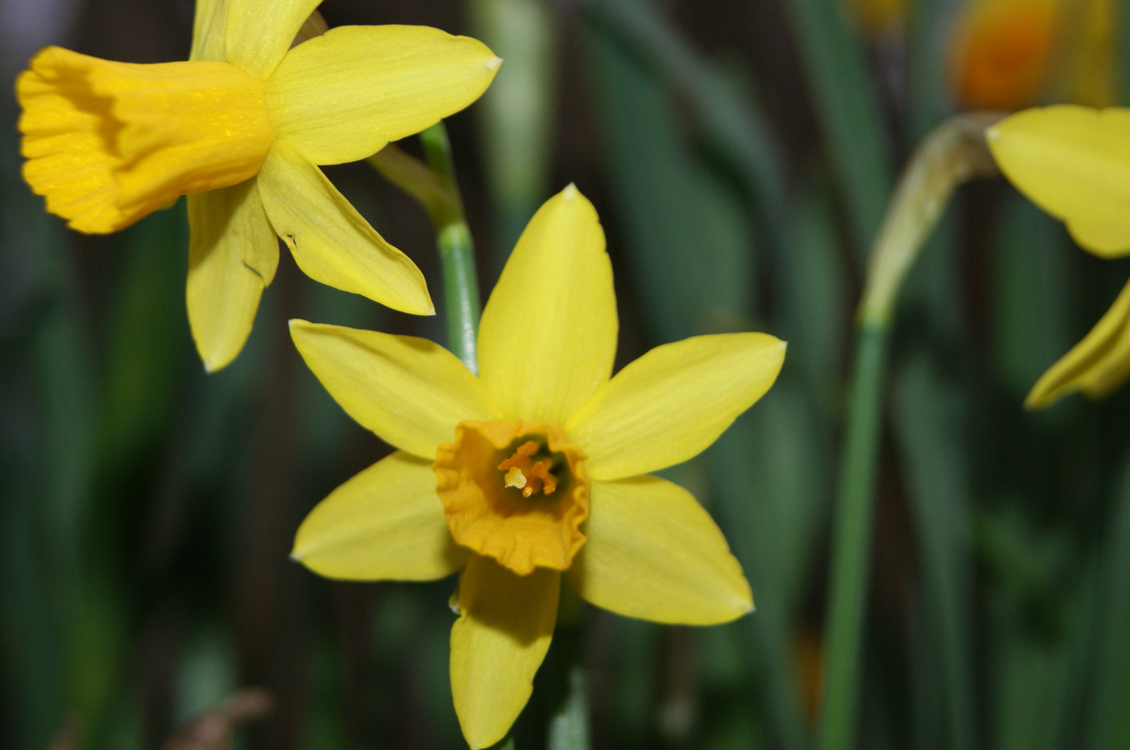 bald ist Ostern