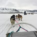 Svalbard 2008