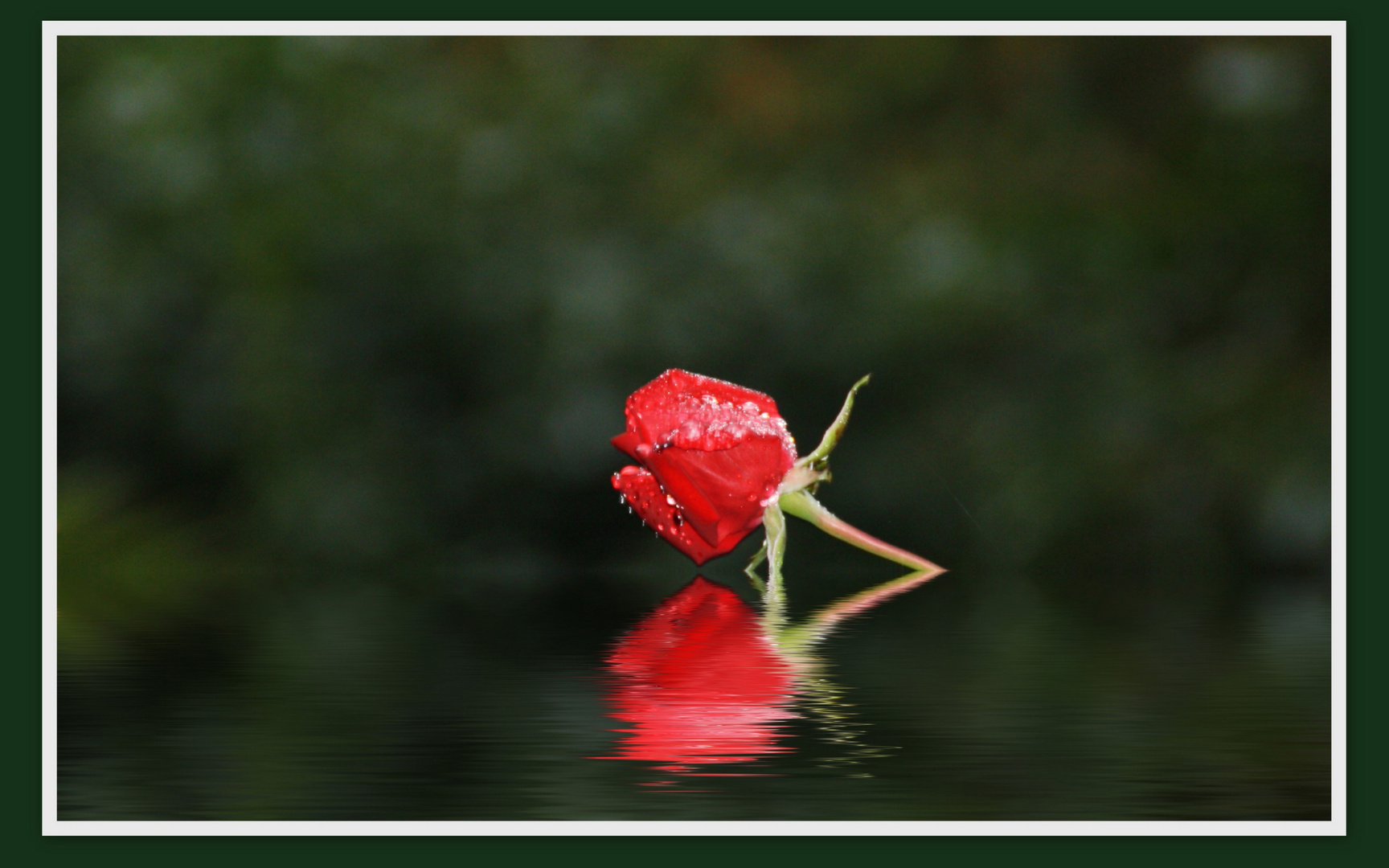 Bald ist Valentinstag