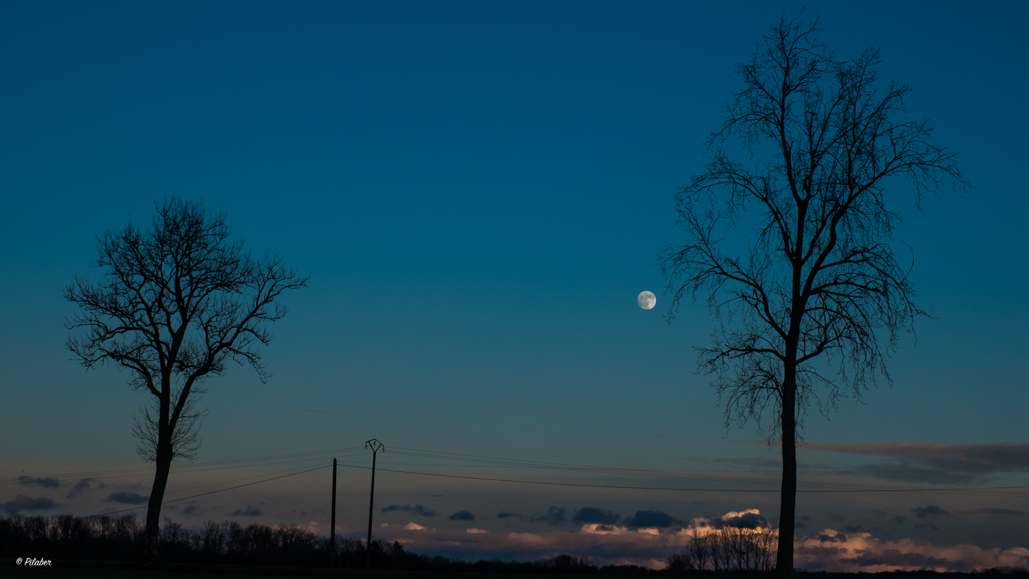 Bald ist Vollmond