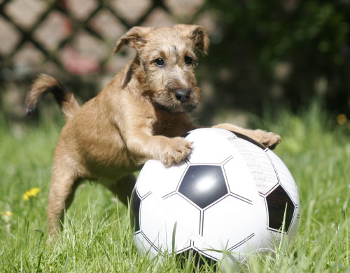 "bald ist wieder....!"