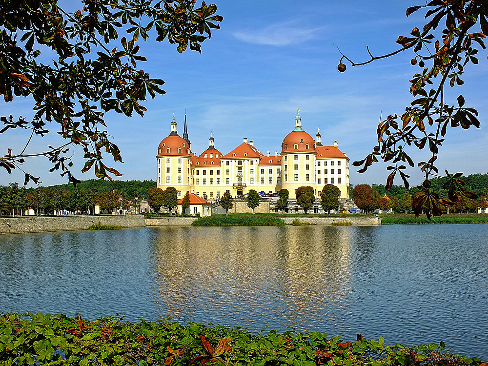 Bald ist wieder Frühling !!!