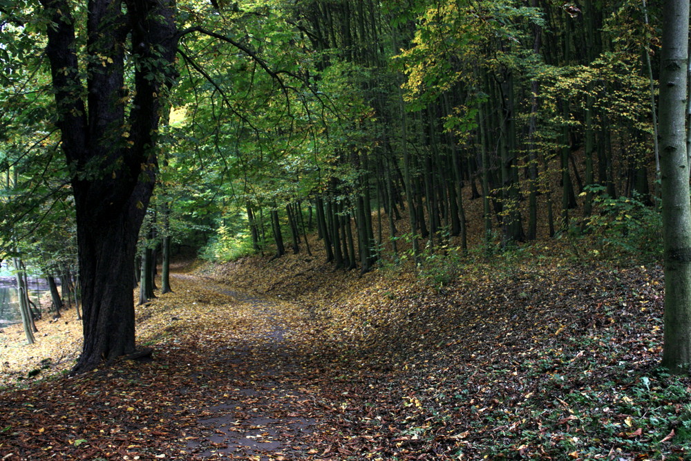 Bald ist wieder Herbst