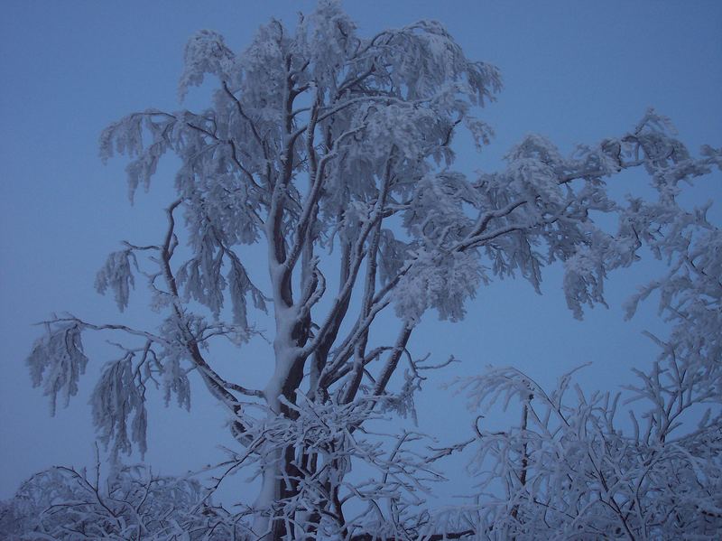 Bald ist wieder Winter