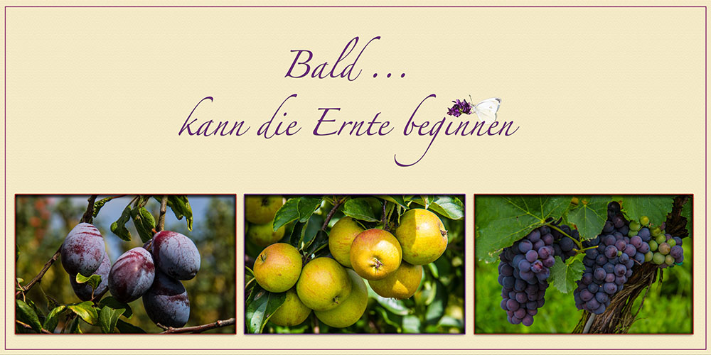 BALD KANN ....