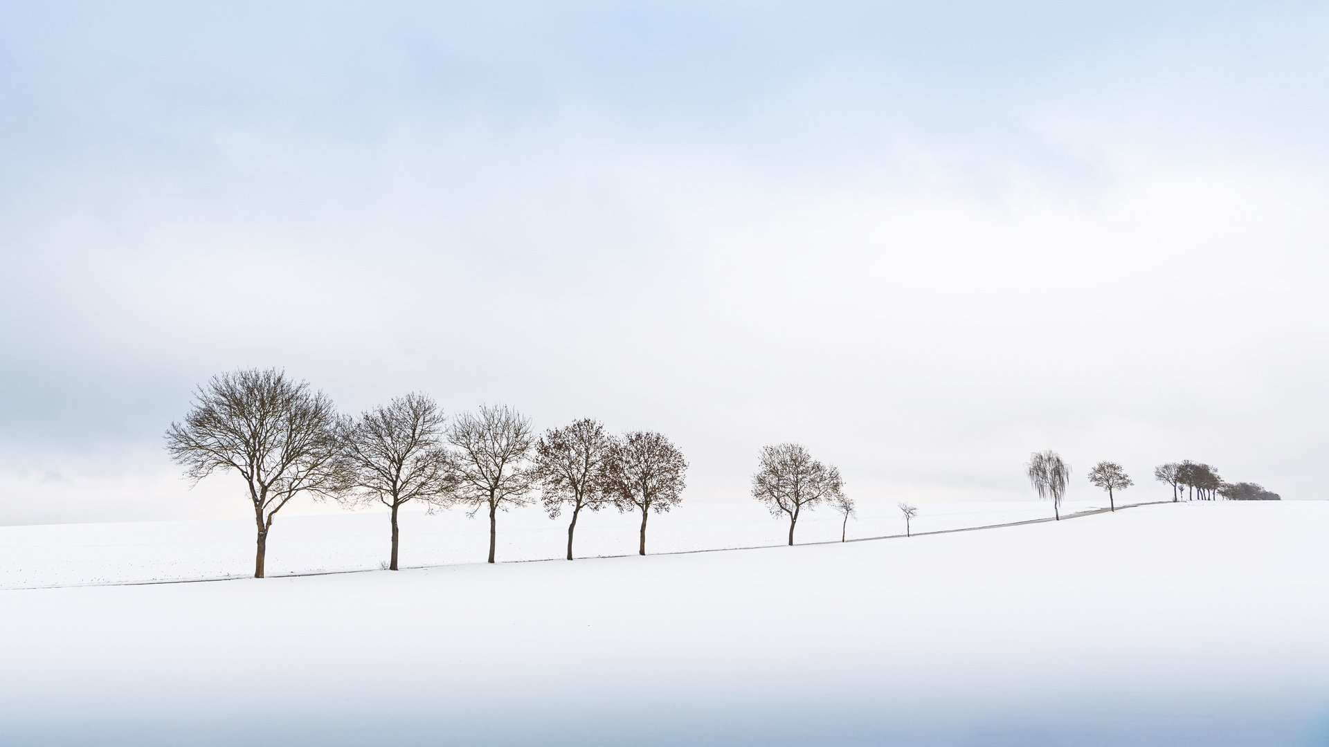 Bald klirrt der Wind