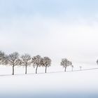 Bald klirrt der Wind