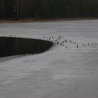 bald können wir wieder schwimmen...