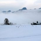 Bald kommen die Langläufer