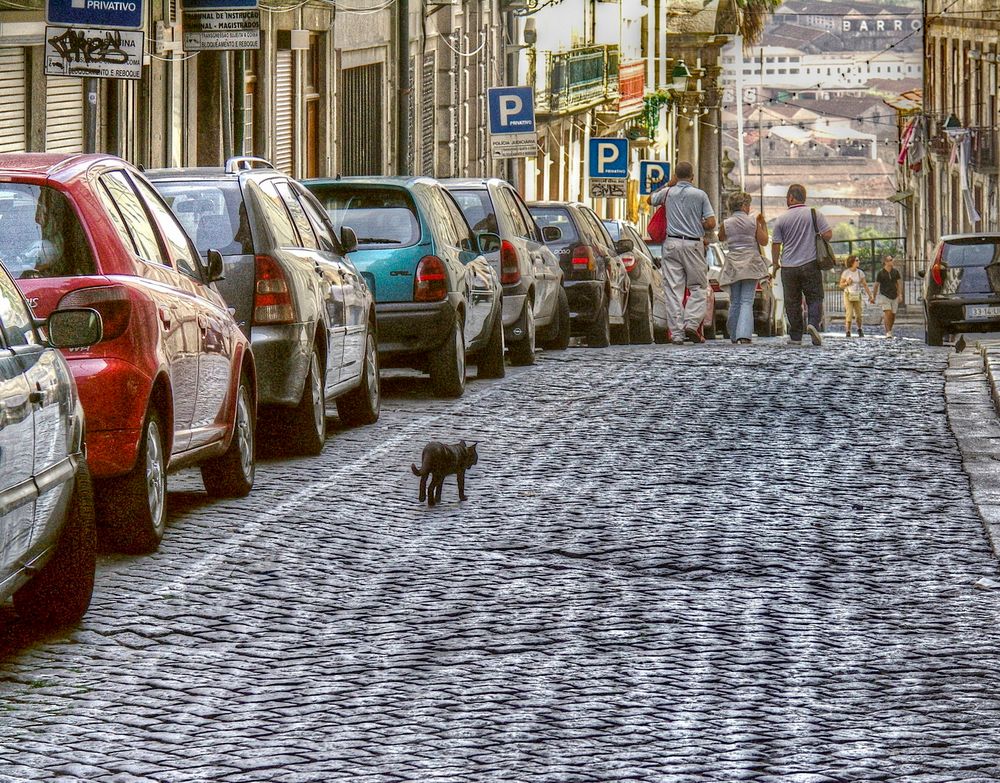 Bald kommen die Touristen wieder 