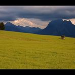 bald kommt das Gewitter....