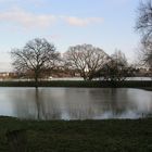 Bald kommt das Hochwasser!