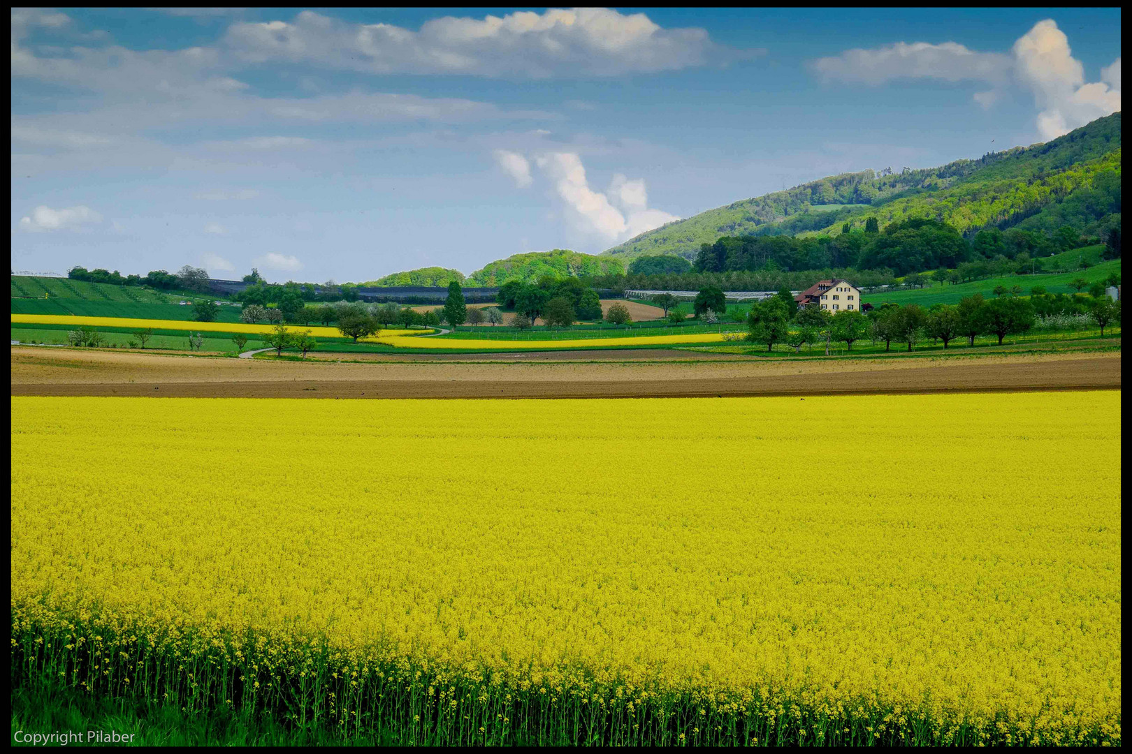 Bald kommt der Frühling