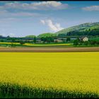 Bald kommt der Frühling