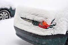 bald kommt der Frühling