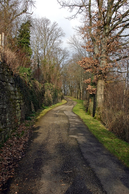 Bald kommt der Frühling.