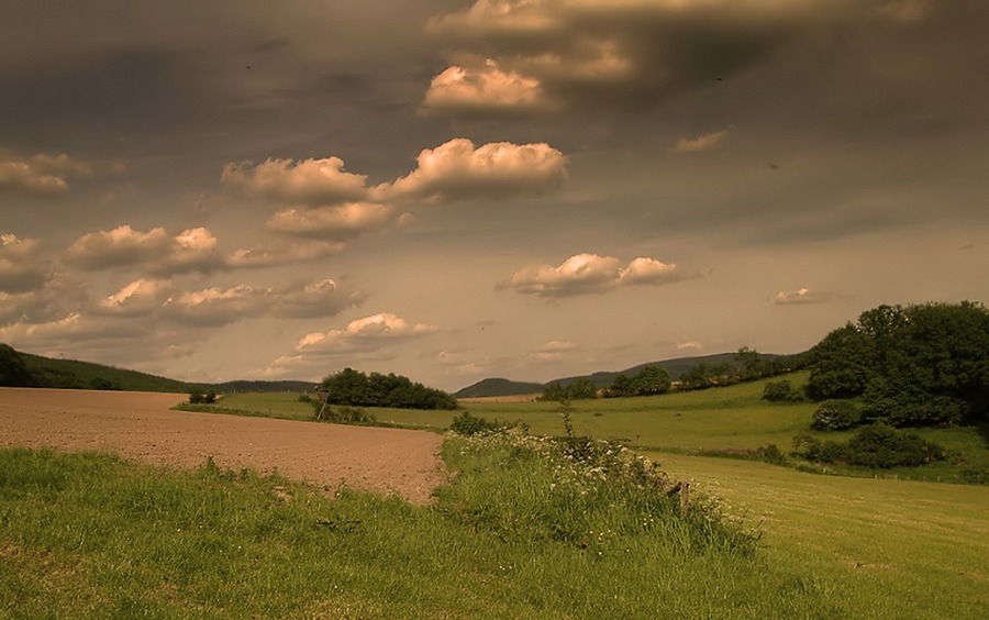 Bald kommt der Sommer !