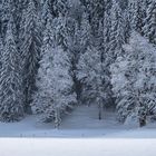 Bald kommt der Weihnachtsmann wieder