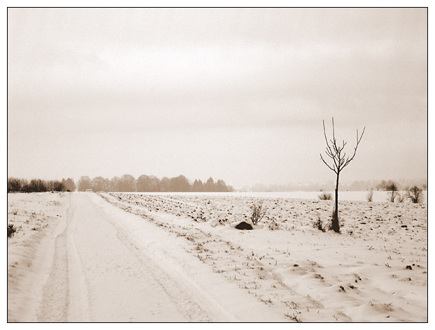 Bald kommt der Winter (2)