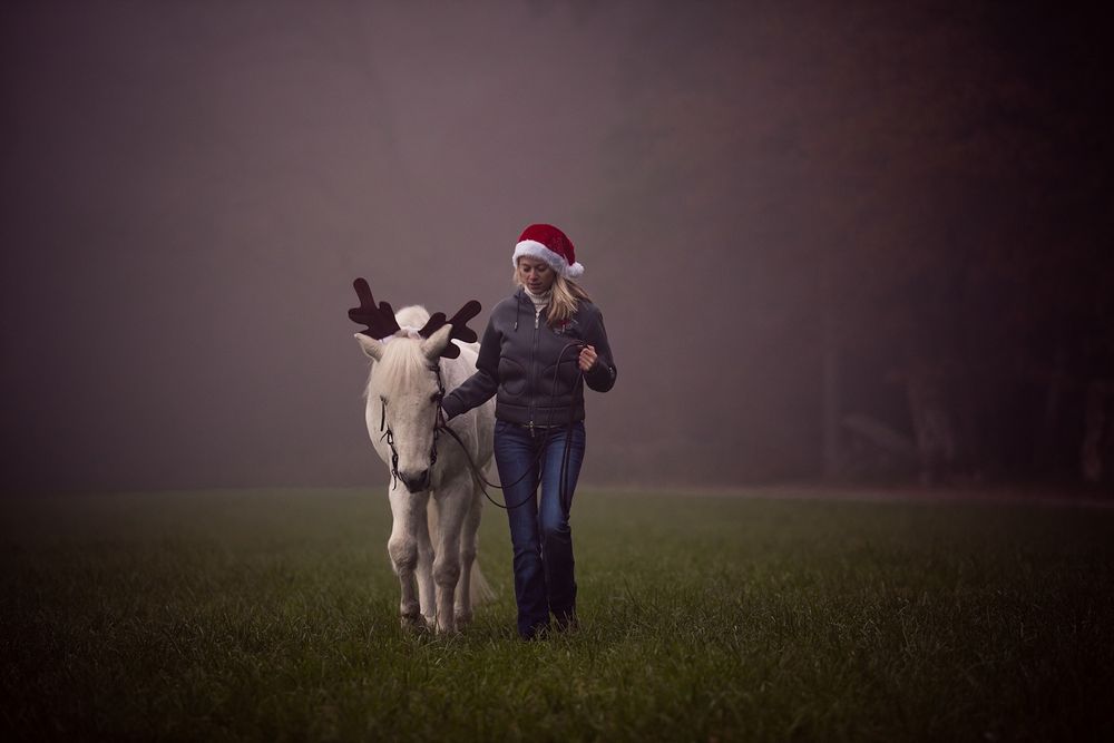 **bald kommt die Weihnachtsfrau**