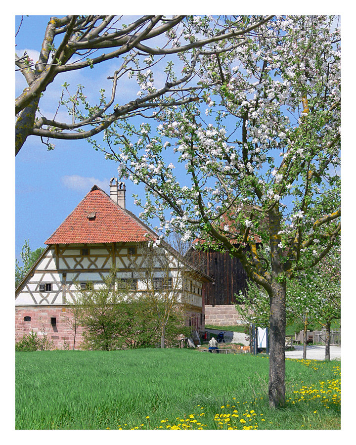 Bald kommt er wieder ... der Frühling ..