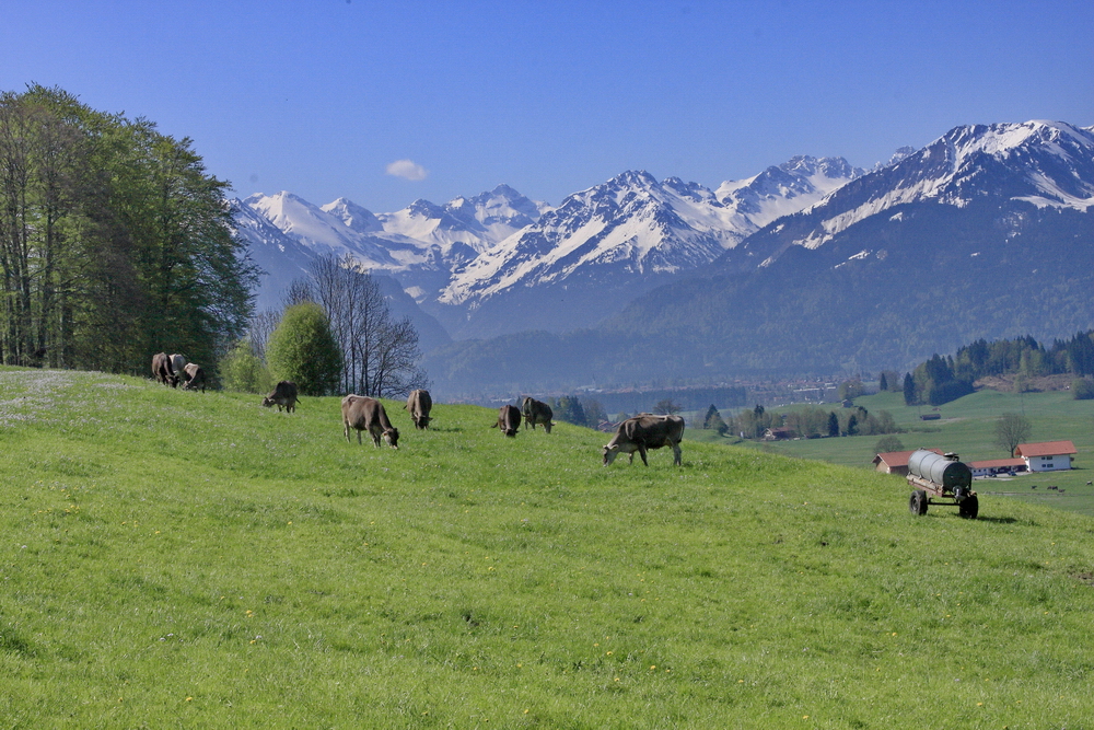 Bald kommt wieder der Urlaub!