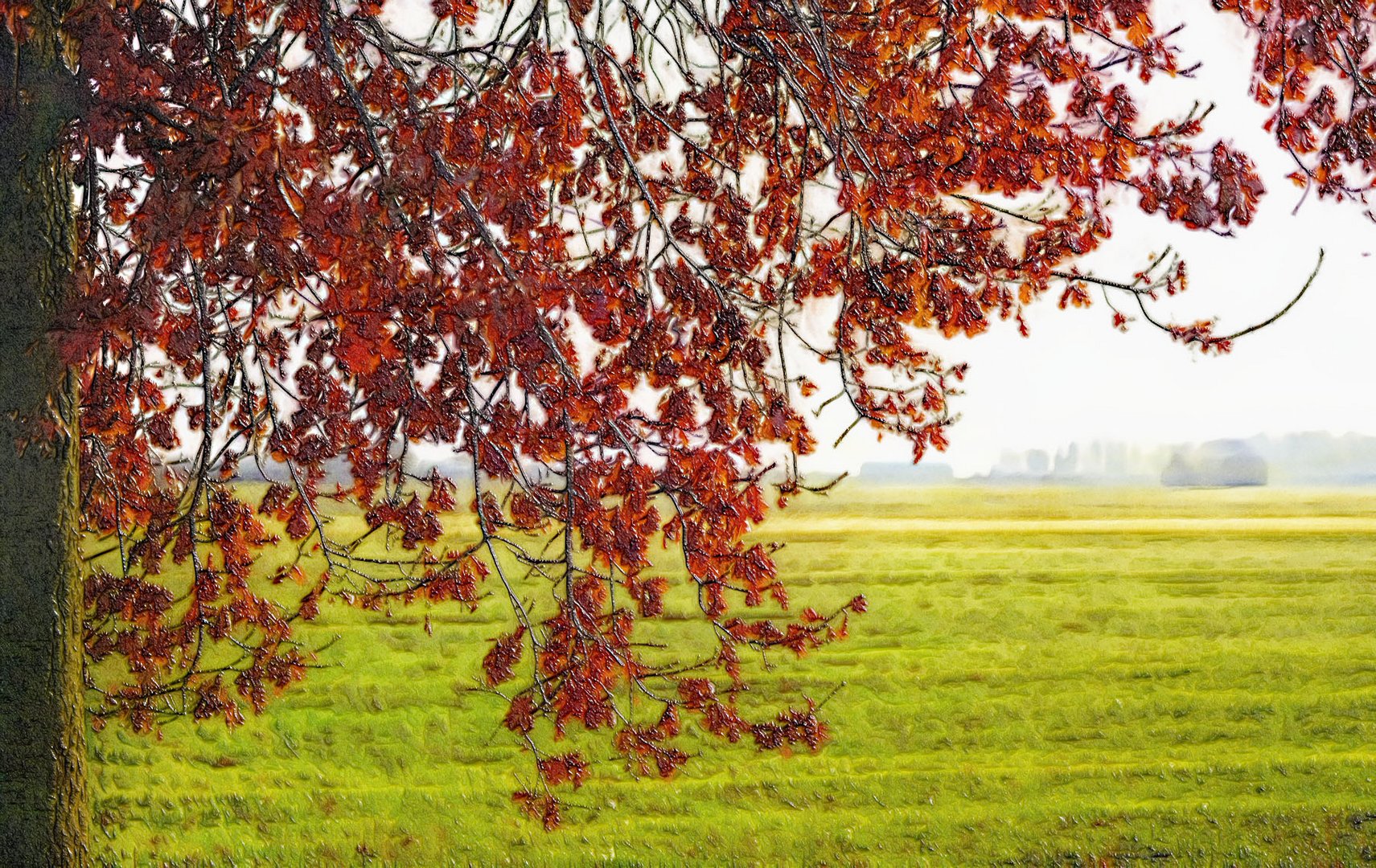 bald leuchtet der herbst ...