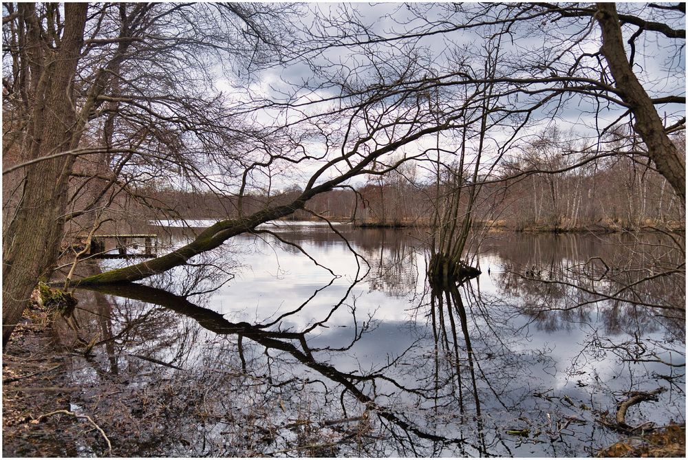 bald liegt er im Wasser