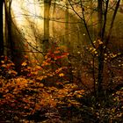 Bald schmückt der Herbst das Antlitz der Landschaft