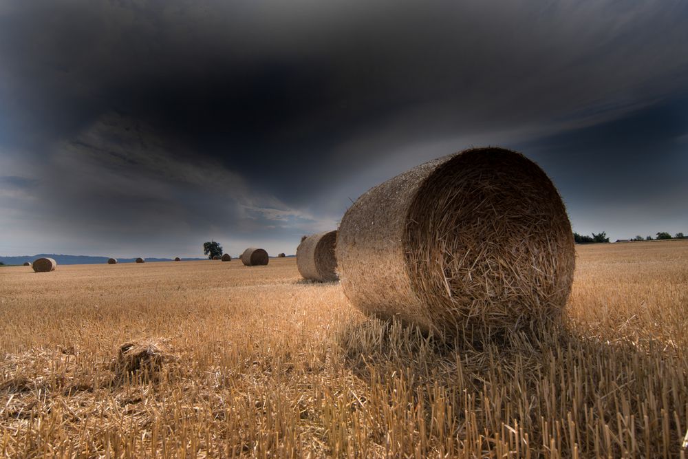 Bald sind sie alle verschwunden . Foto &amp; Bild landschaft, fotokunst