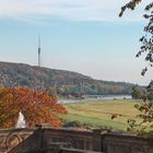 Bald steht er wieder auf der Leiter