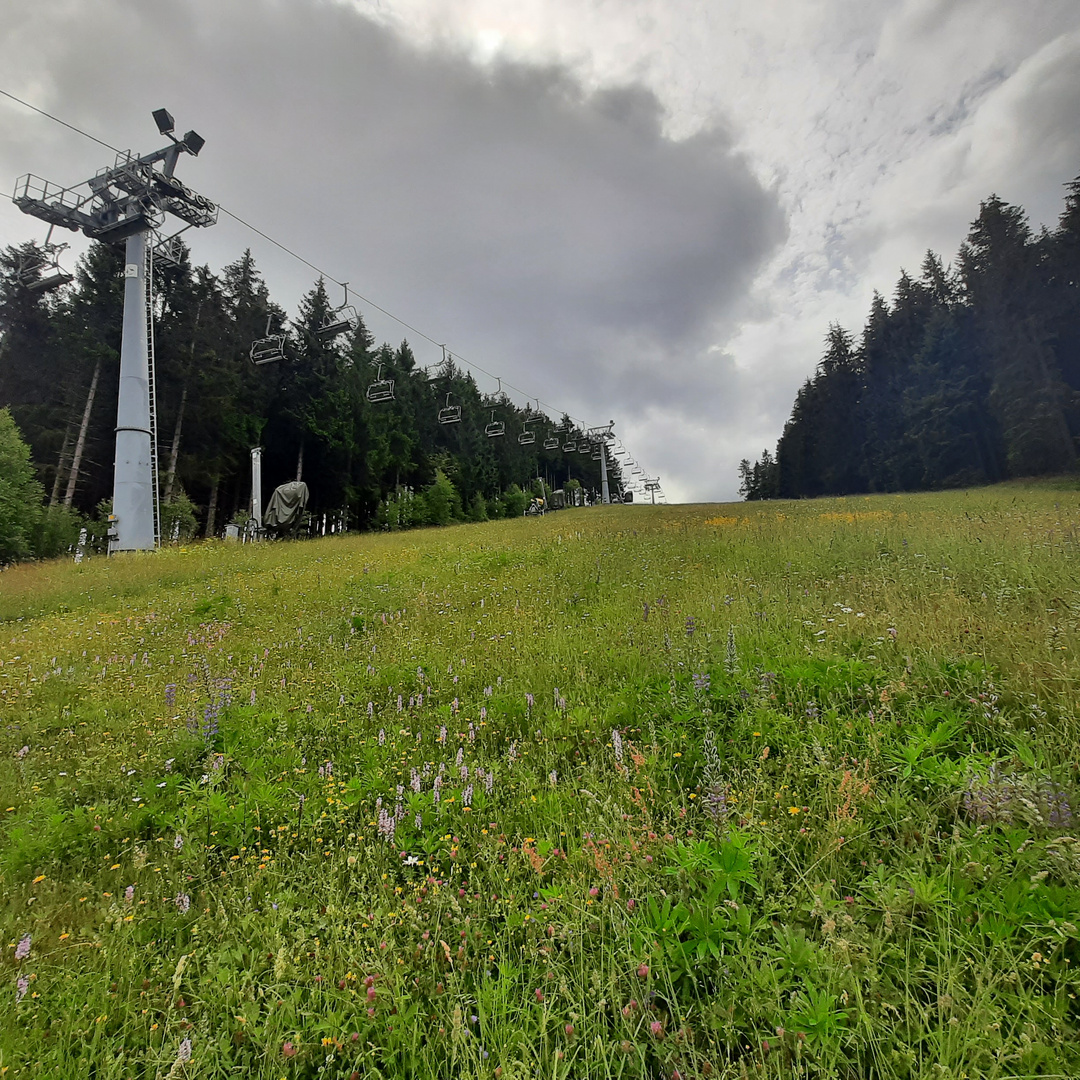 Bald wieder Skifahren?