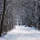 BALD WIRD DIE ALEE GRÜN