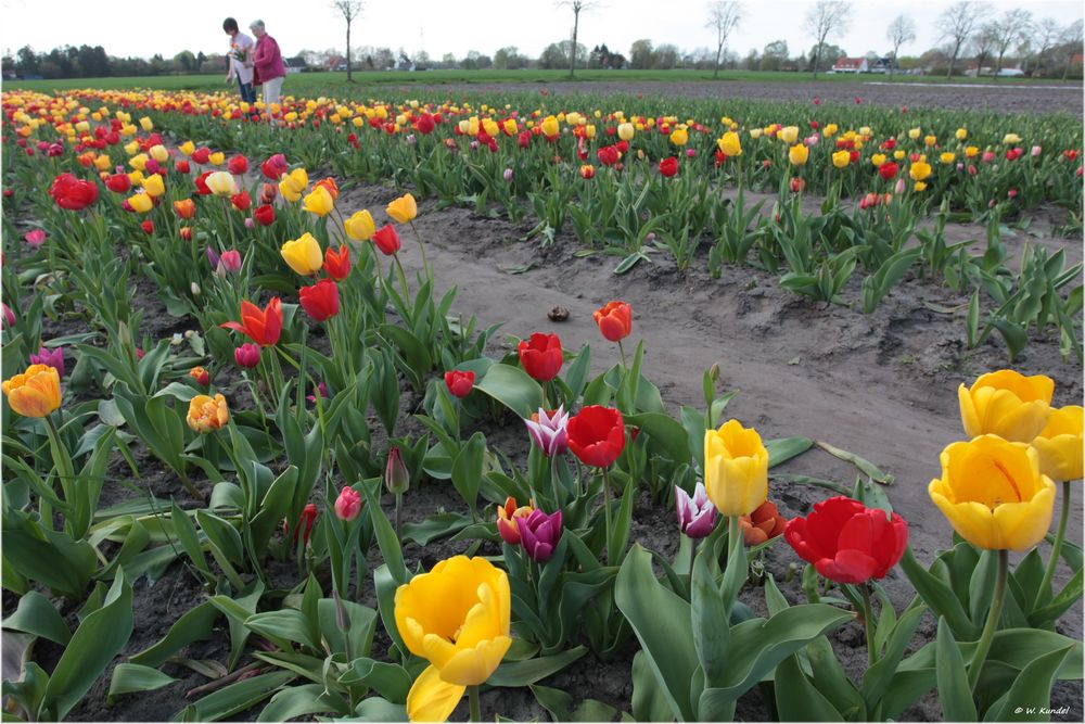 bald wird es bunt