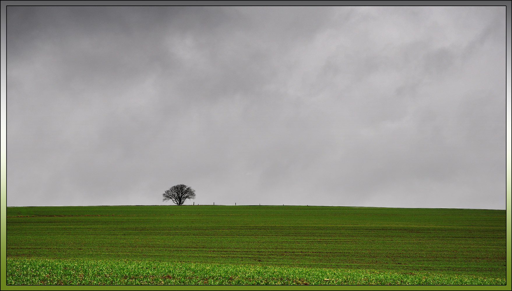 Bald wird es Frühling