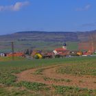 bald wird es Frühling (pronto va a llegar la primavera)