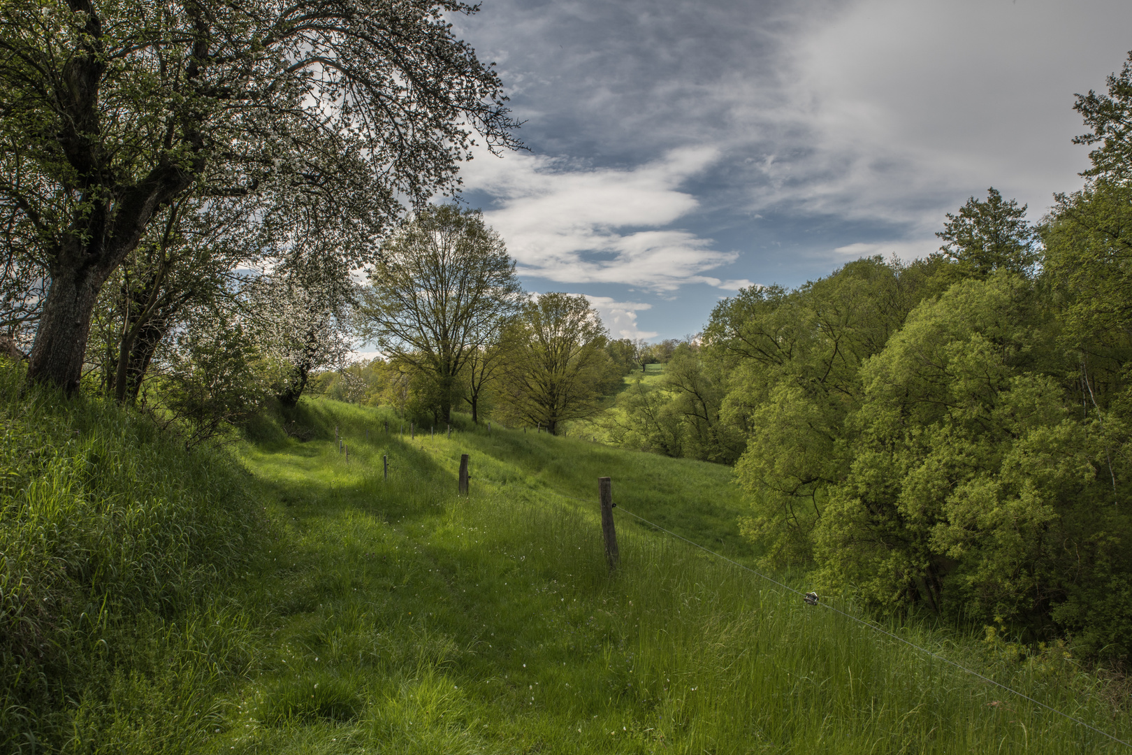 Bald wird es Sommer, SN