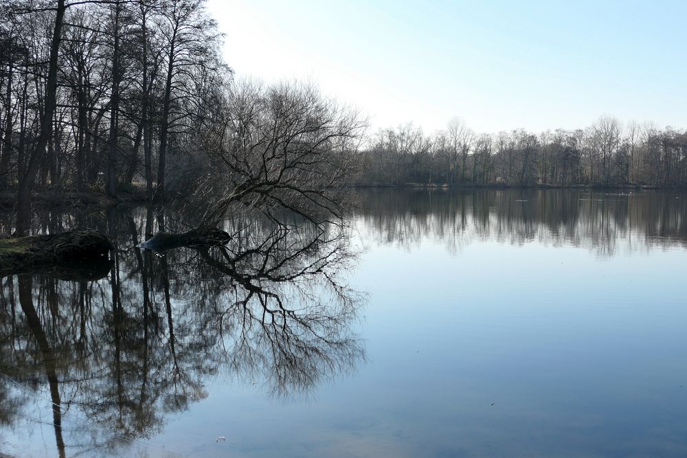 Bald wird es wieder grün dort sein....