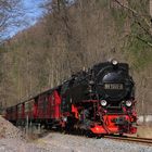 Bald wird es wieder grün in Eisfelder Talmühle