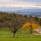 Baldegg in Herbst