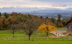 Baldegg in Herbst