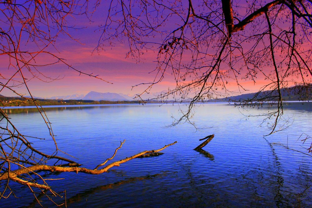 Baldeggersee Schweiz