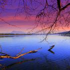 Baldeggersee Schweiz