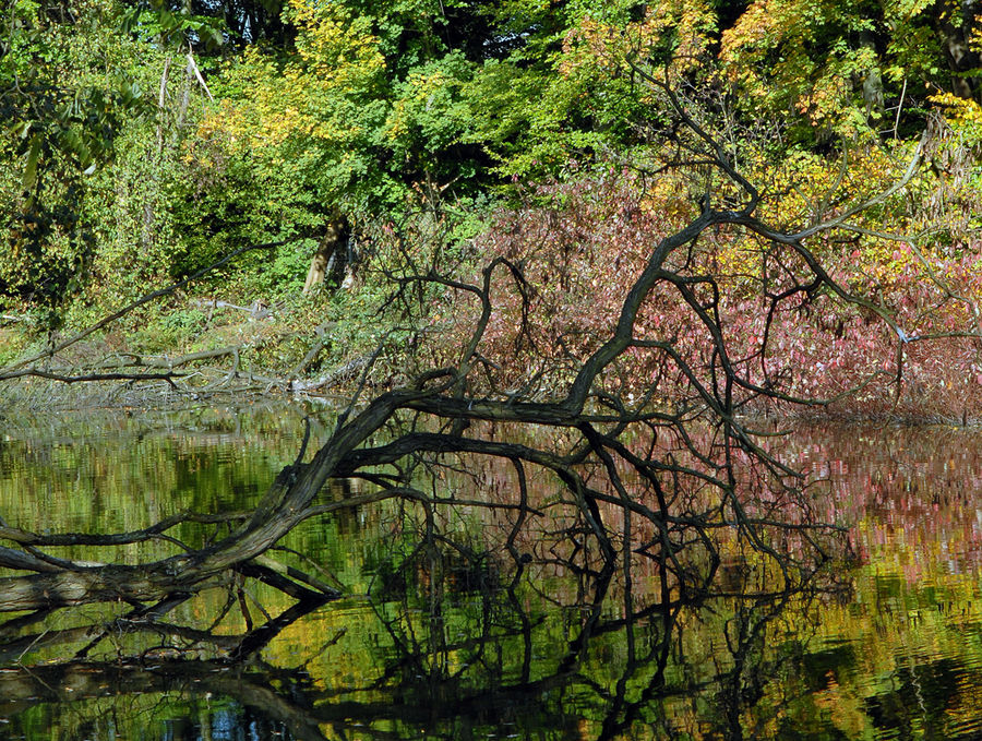 BaldeneySee 002