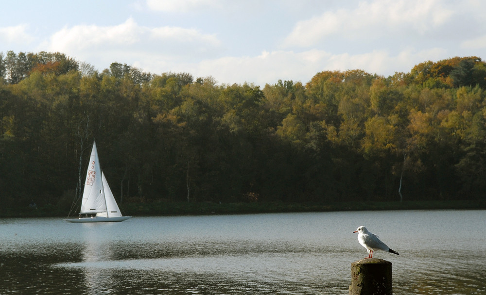 BaldeneySee 003